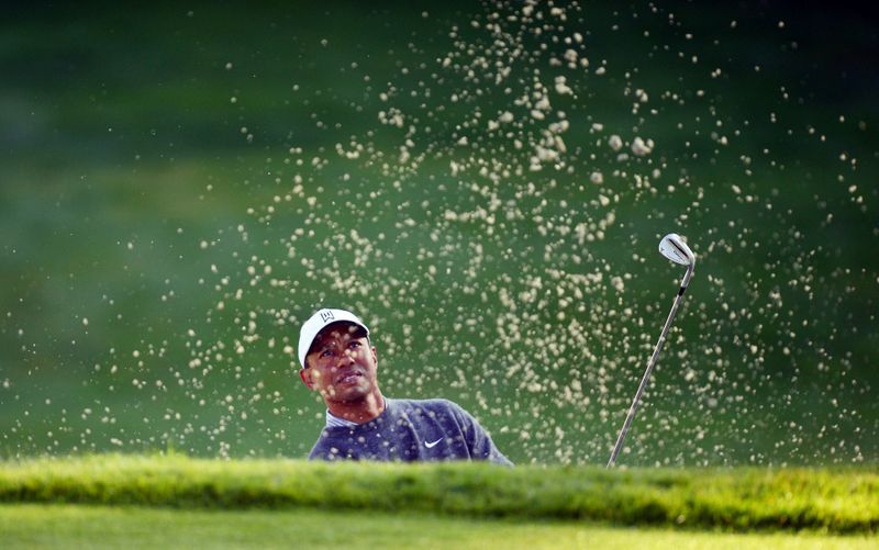 tiger family masters 2020