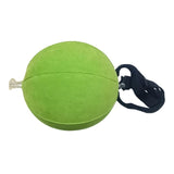 Golf Ball Swing Training Aid - Golfer Paradise